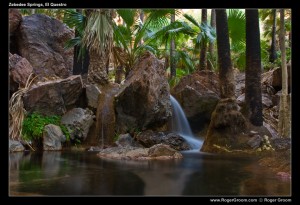 Zebedee Springs Pool