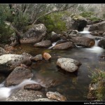 Merritts Creek, Thredbo