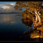 Wilson Inlet at Sunrise