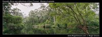 Donley River at One Tree Bridge