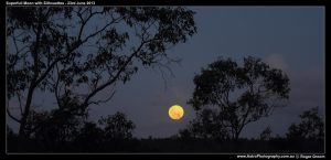 Superfull Moon with silhouettes