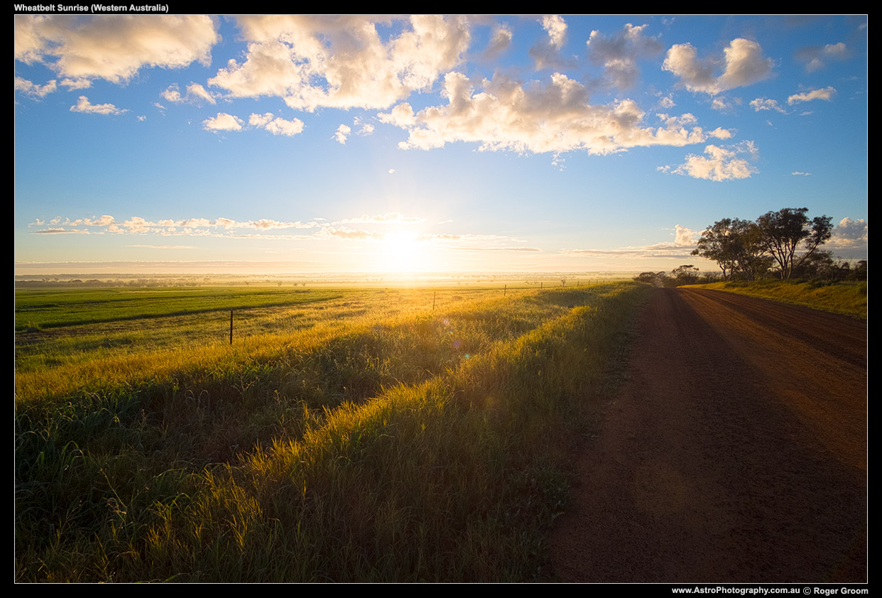 Wheatbelt early morning mist near Tammin, Western Australia.